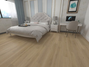 6 Collection - 603