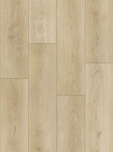 7 Diamond Collection - Capital Reef