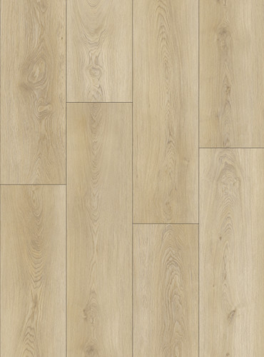7 Diamond Collection - Capital Reef
