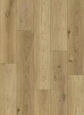 9 Collection - Boundless Sand