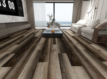 11 Collection - Wild Truffle