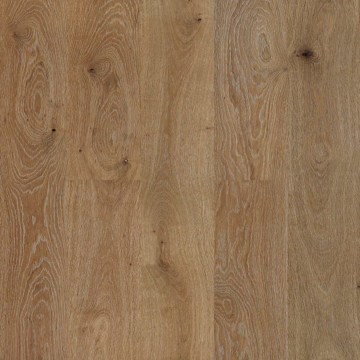 Biyork Nouveau 8 European Oak - Centaurus