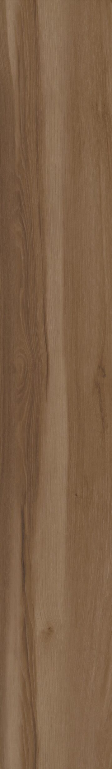 Blended Caraway