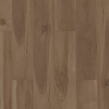 Blended Caraway