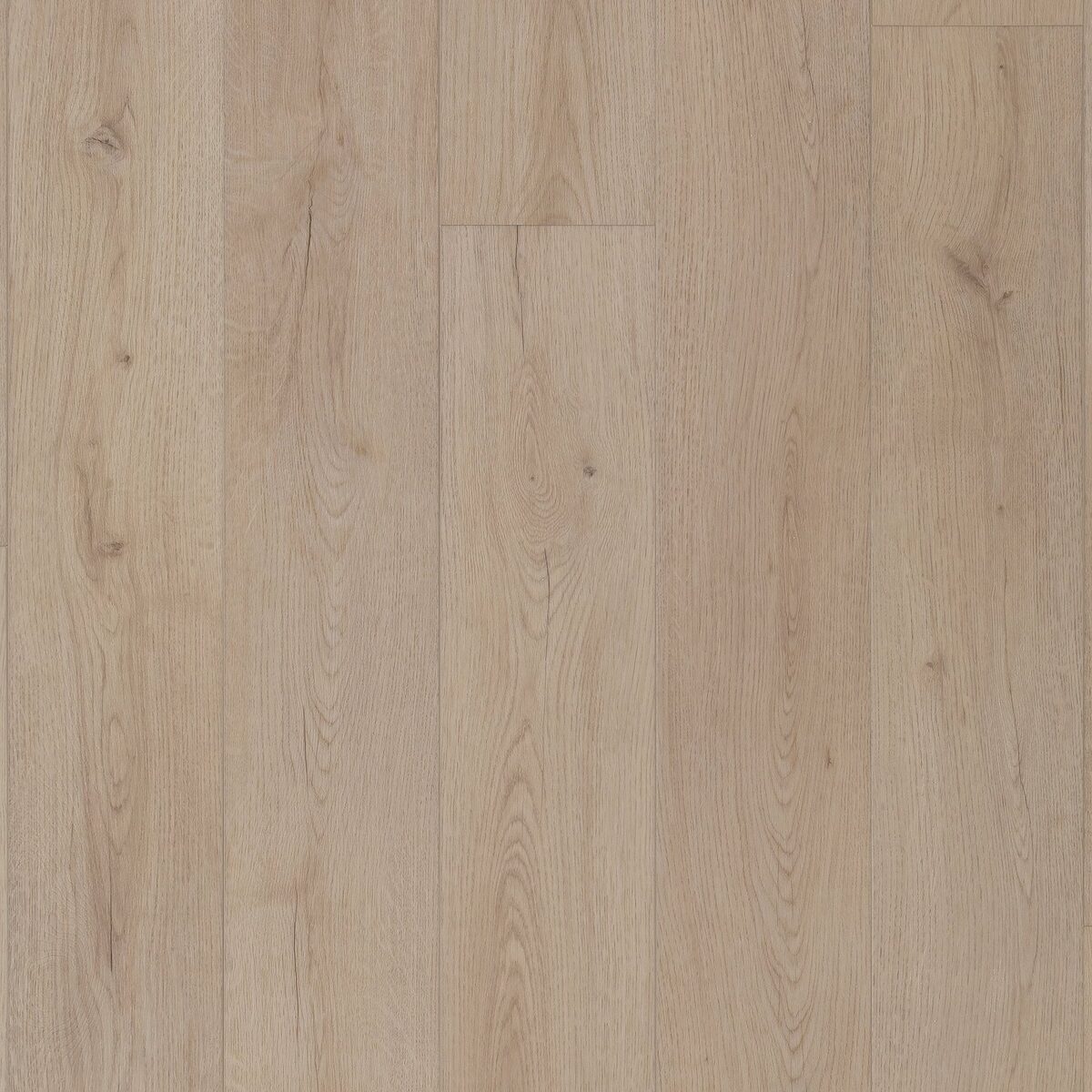 Ferndown Oak