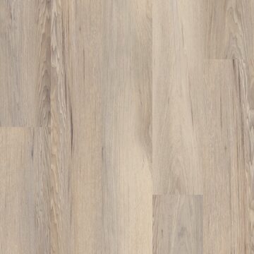 Venture Chestnut