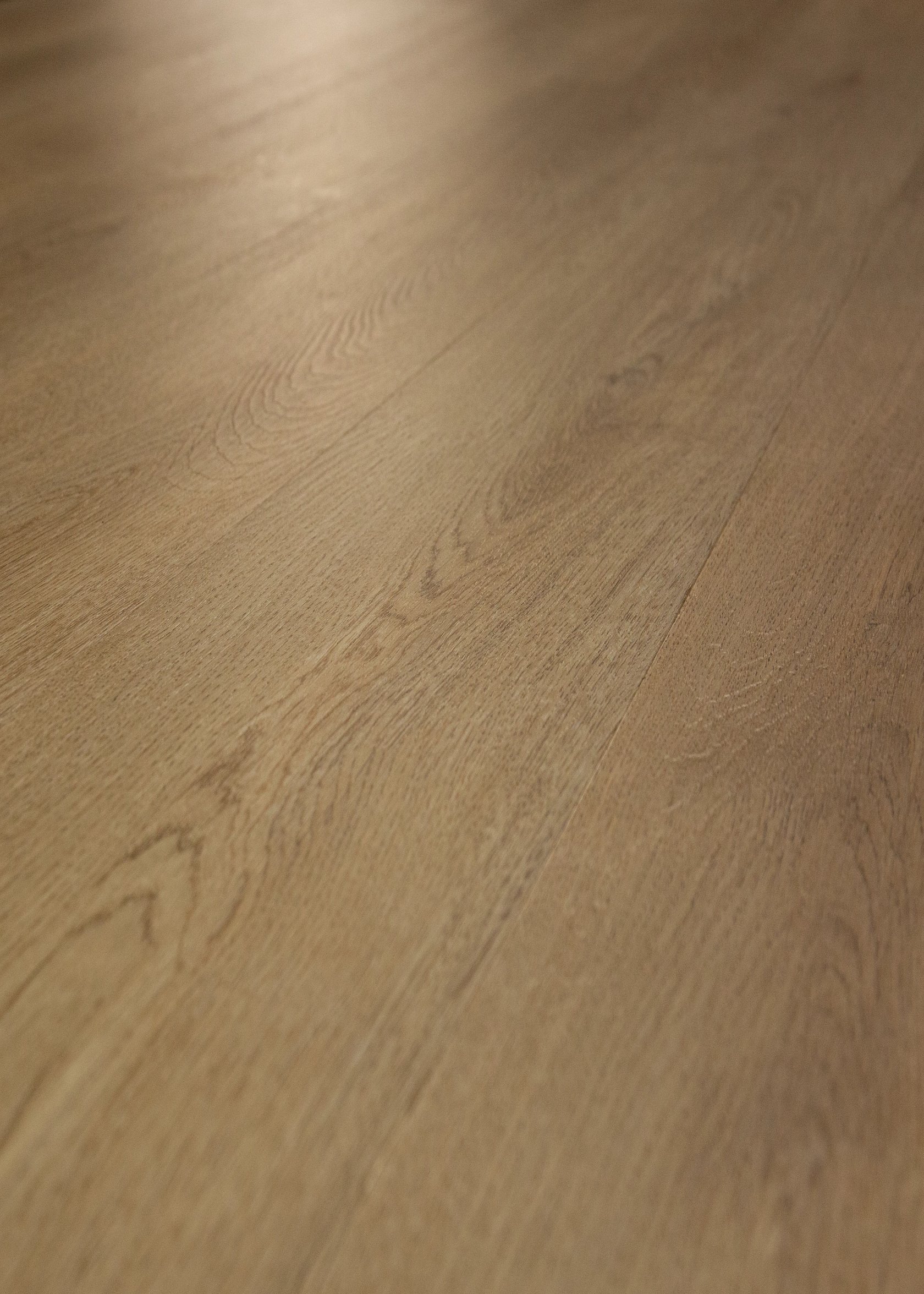 Plainfield Oak