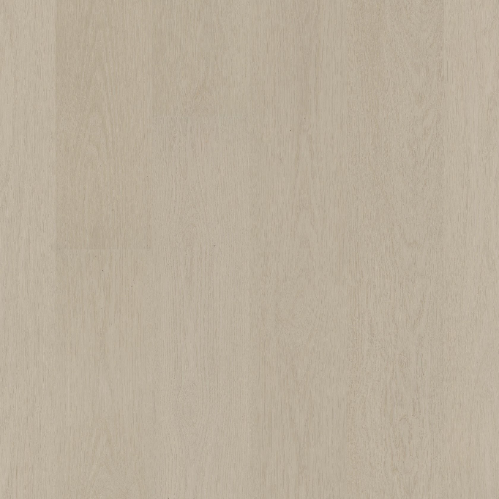 Delicate Oak