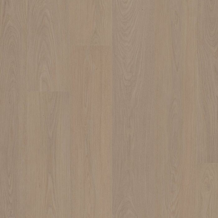 Tranquil Oak