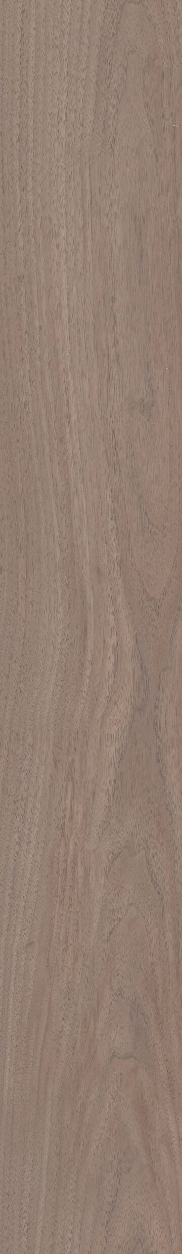 Feather Walnut