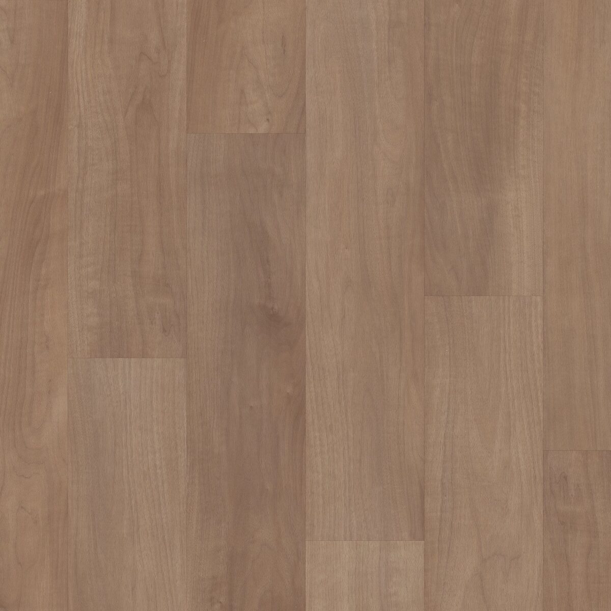 Tawny Beech