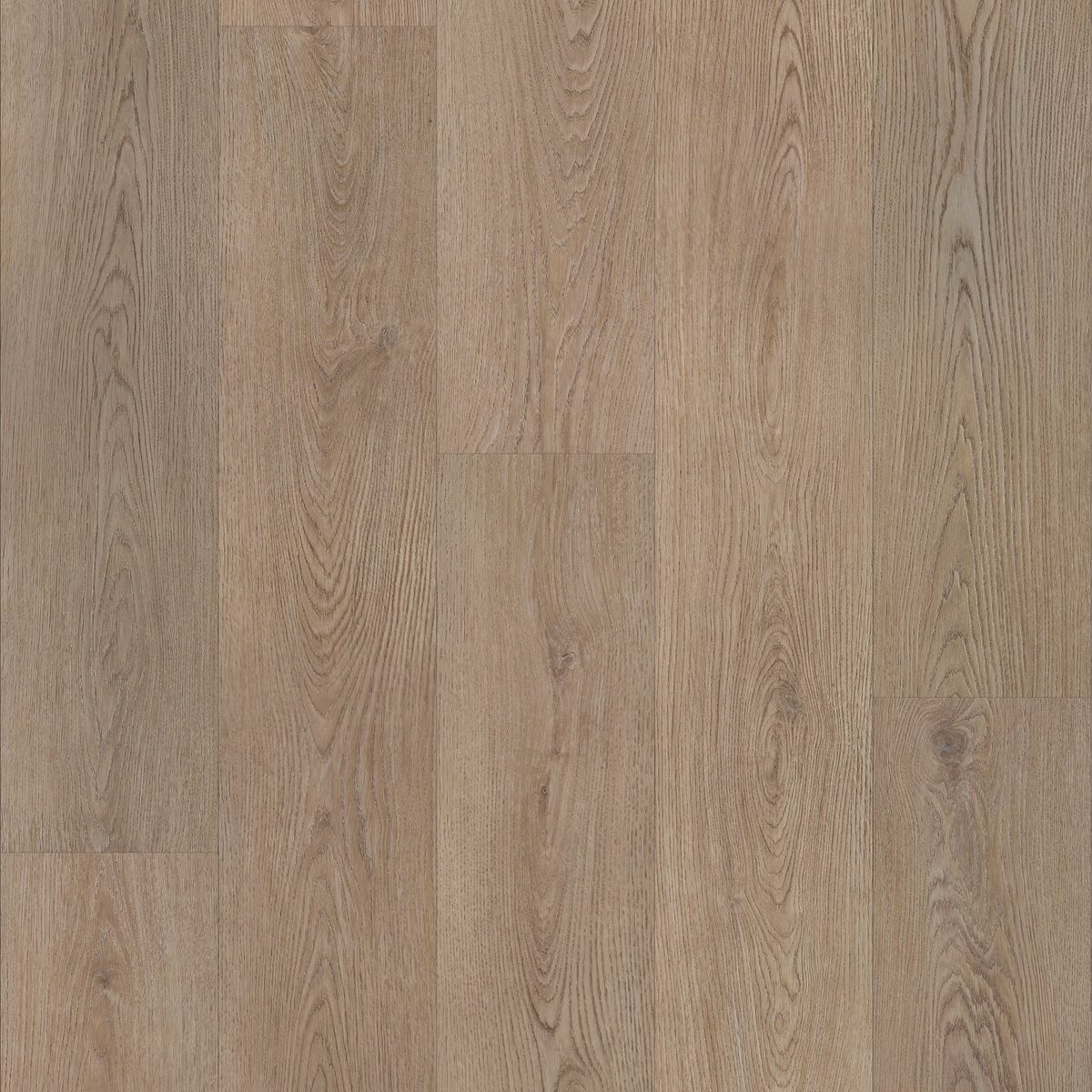 Smoky Oak