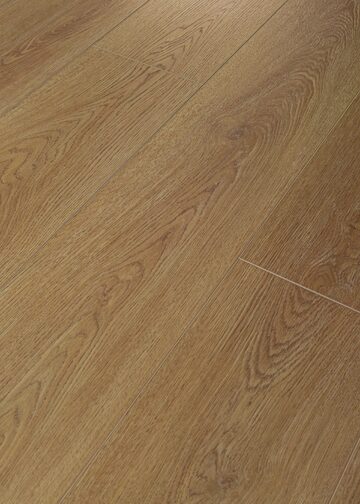 Saddle Oak