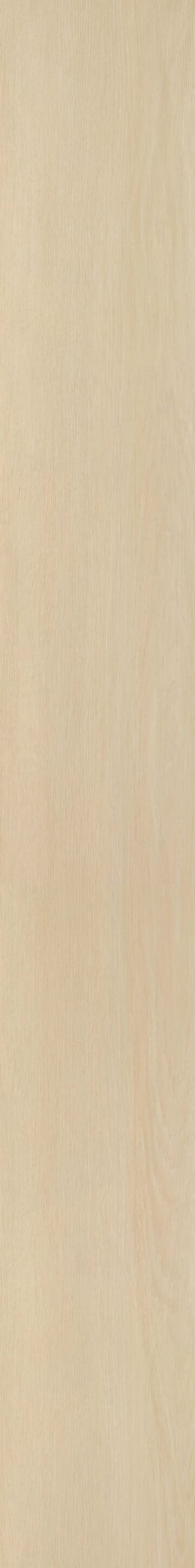 Champagne Mist Oak