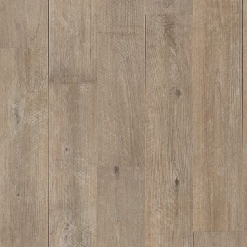 Sorrel Oak