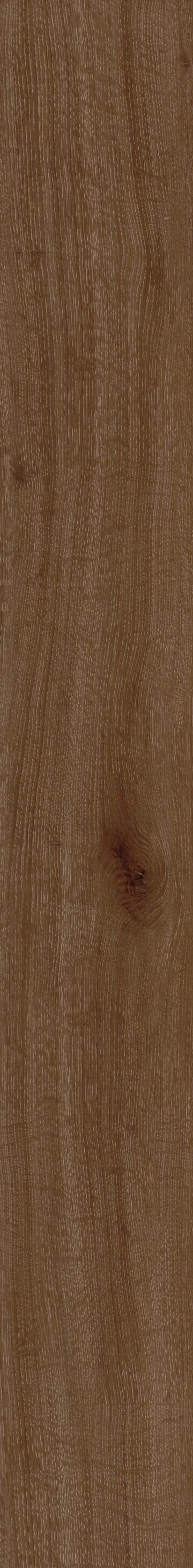 Crimson Flame Oak