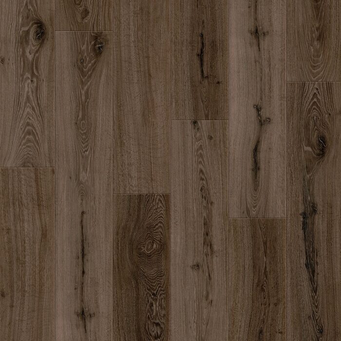 Obsidian Oak