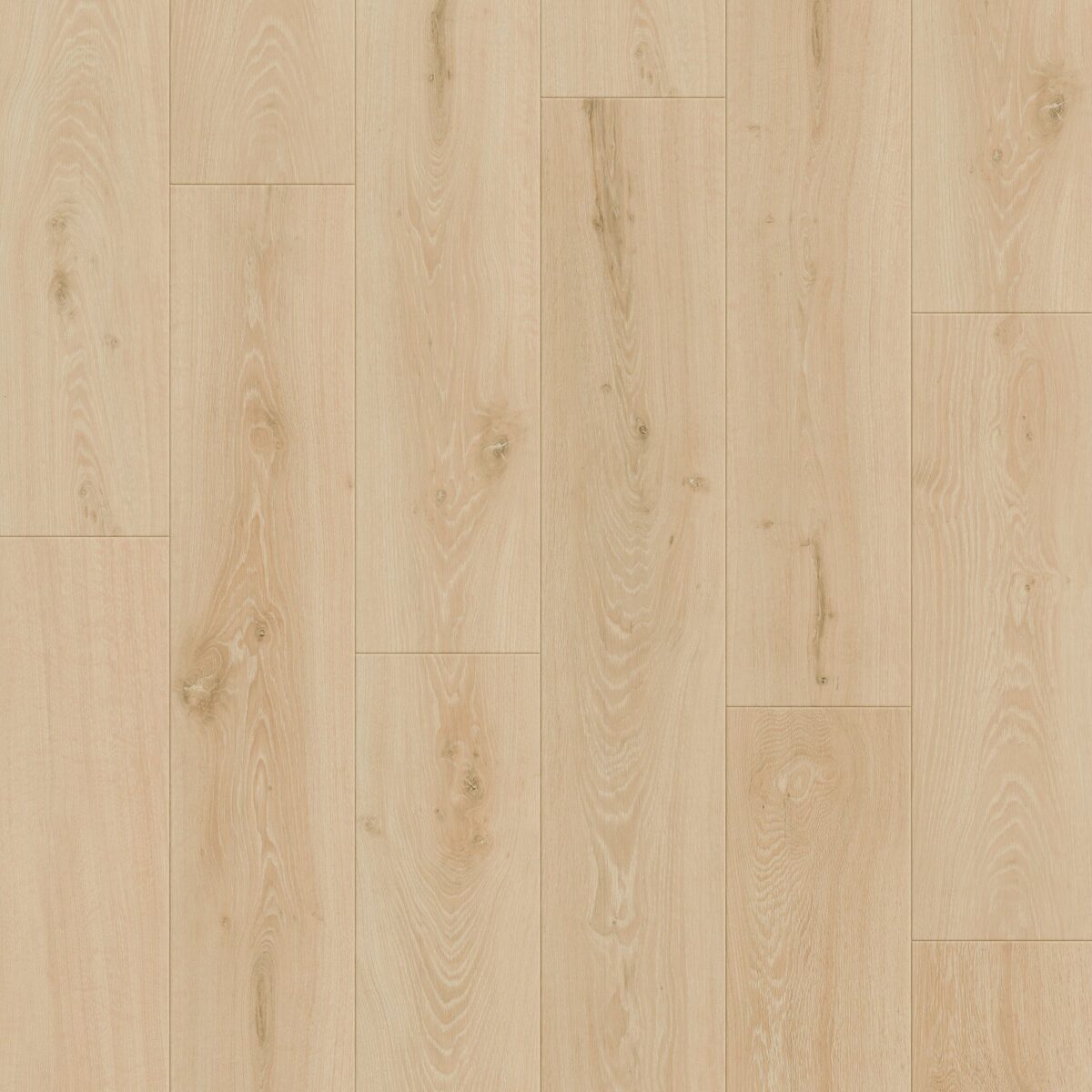 Butterscotch Oak