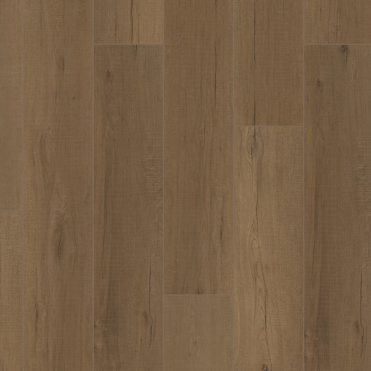 Bay Oak