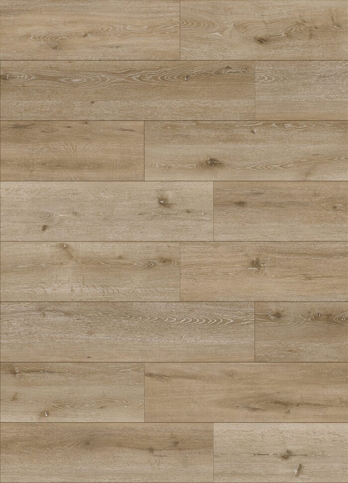 Fuzion Dynamix Lone Star - Laredo Limestone