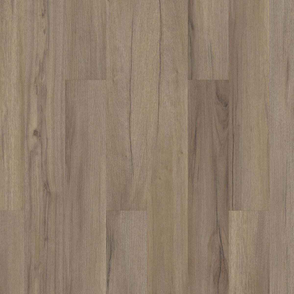 Baywood Oak