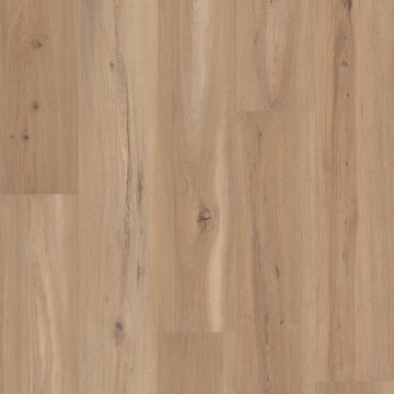 Blonde Oak