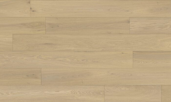 Fuzion Canvas - Moderna