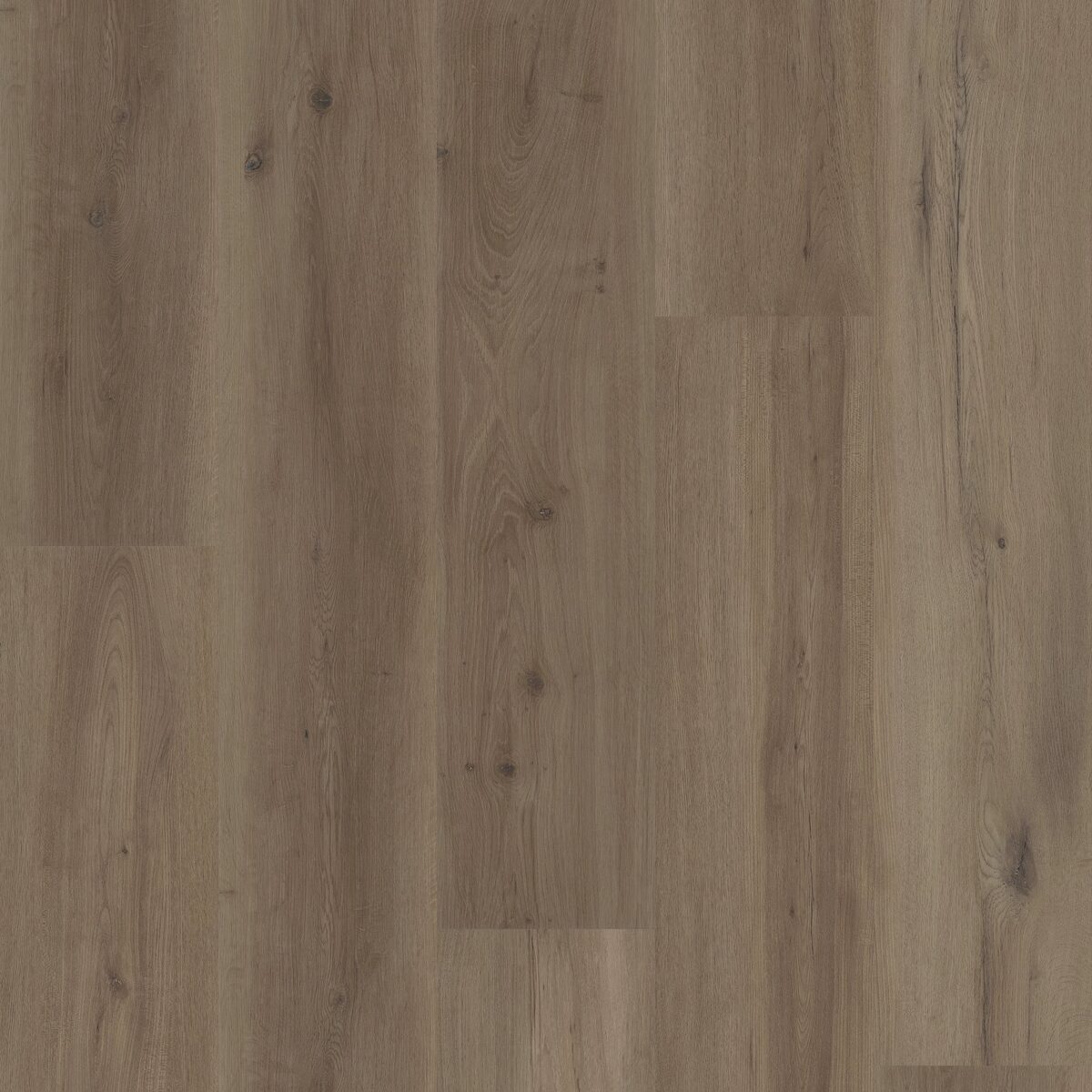 Mist Oak