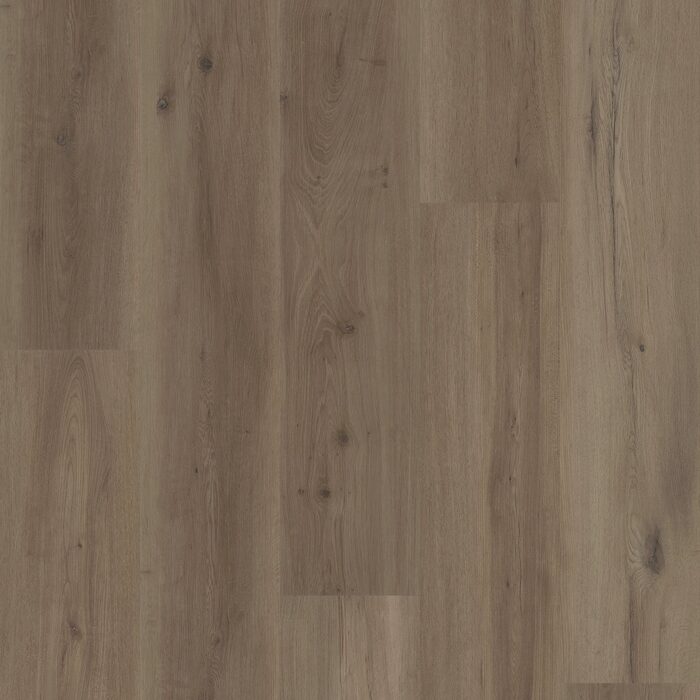 Mist Oak