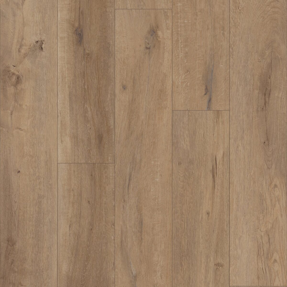 Grande Goldin Oak