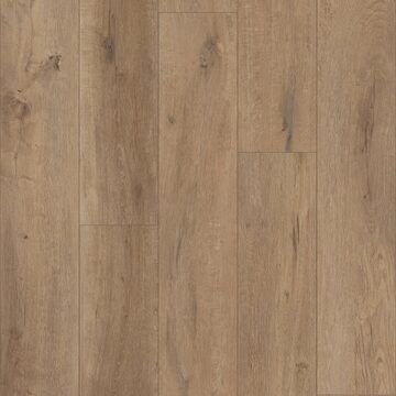 Grande Goldin Oak