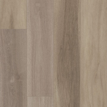 Titan Hd Plus Platinum - Renewed Hickory
