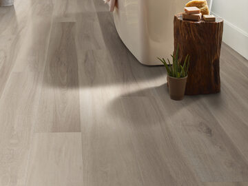 Titan Hd Plus Platinum - Renewed Hickory