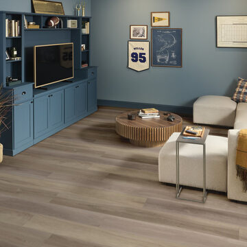 Titan Hd Plus Platinum - Renewed Hickory