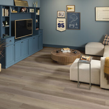 Titan Hd Plus Platinum - Renewed Hickory