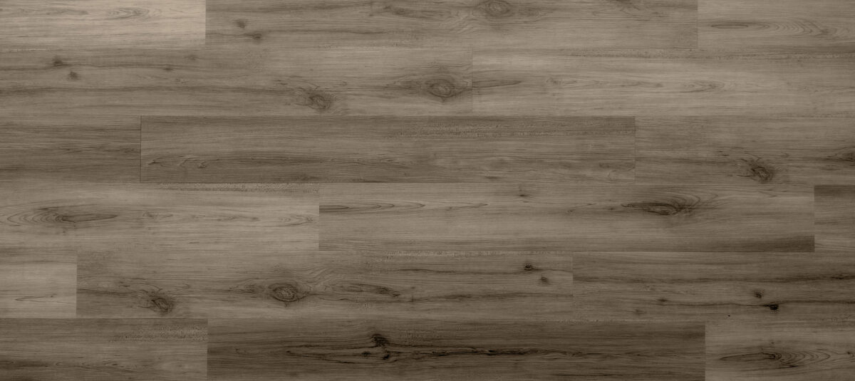 Twelve Oaks - Lost Canyon