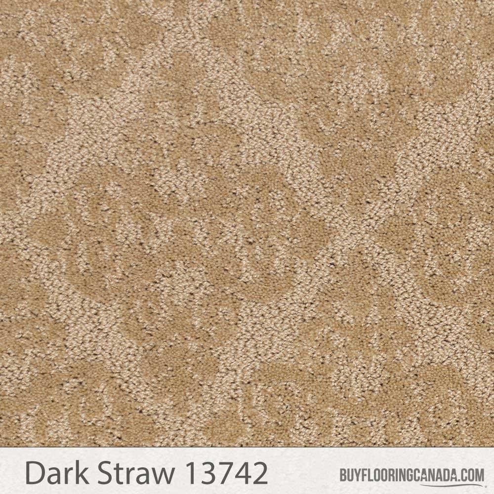 The Stainmaster PetProtect Collection - Husky A1263