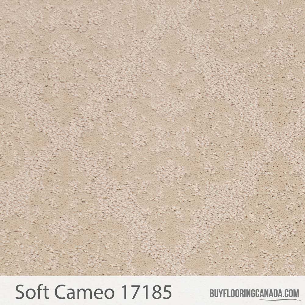 The Stainmaster PetProtect Collection - Husky A1263
