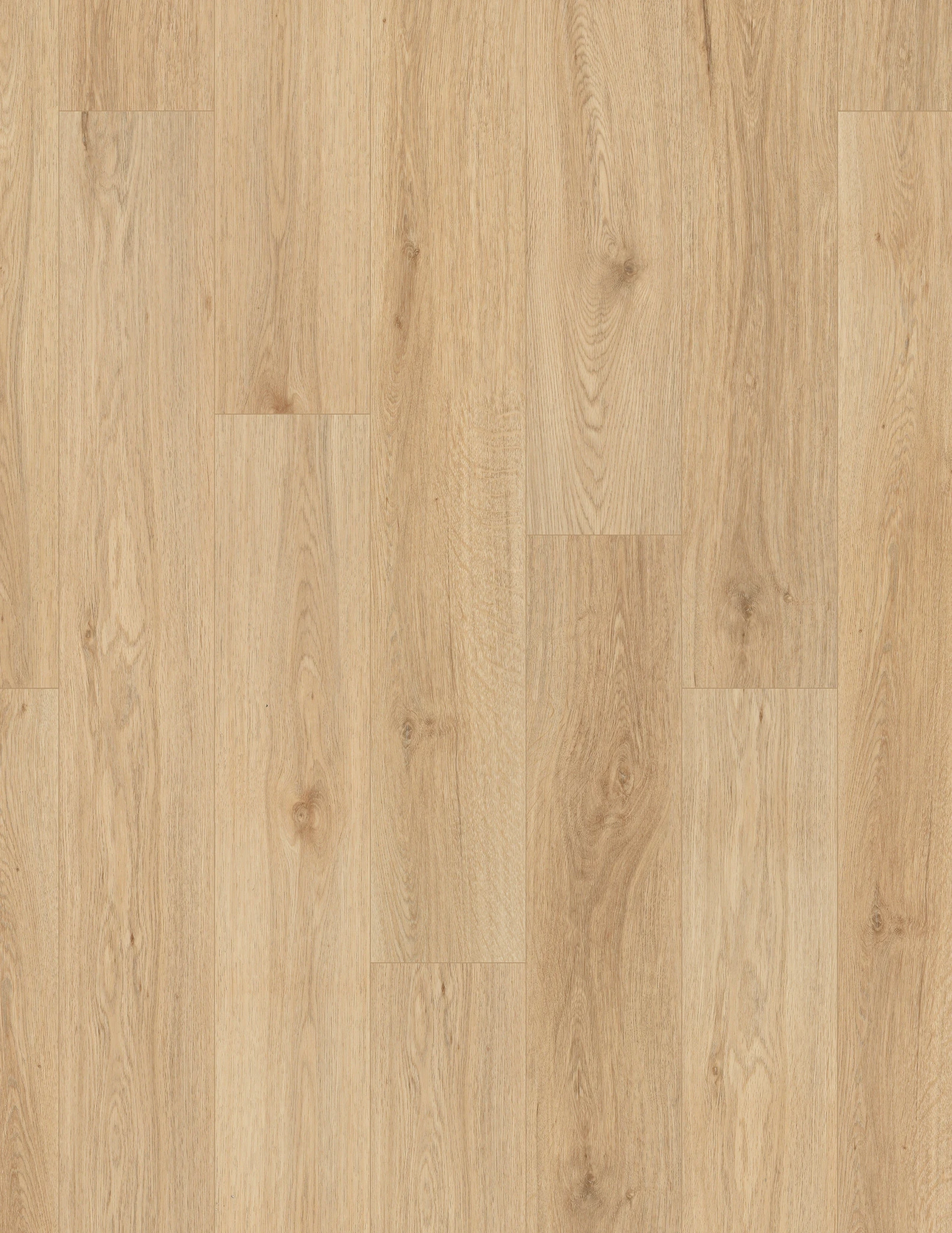 Bakersfield Oak
